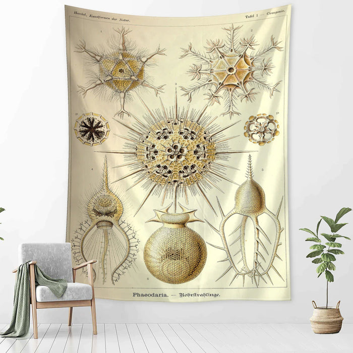 Starfish Conch Tarot Tapestry Wall Hanging Tapis Cloth